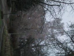 normal_IMG_6014