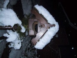 normal_IMG_6277