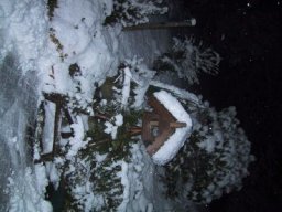 normal_IMG_6278