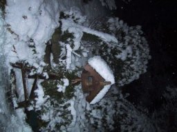 normal_IMG_6279