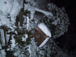 normal_IMG_6280