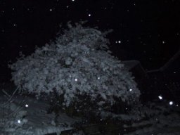 normal_IMG_6281