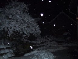 normal_IMG_6282