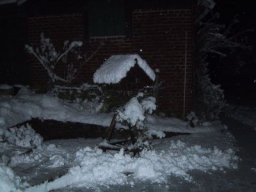 normal_IMG_6283