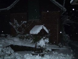 normal_IMG_6284