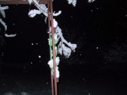 normal_IMG_6285