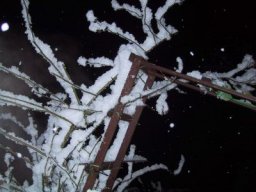 normal_IMG_6286