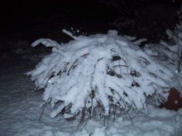 normal_IMG_6287