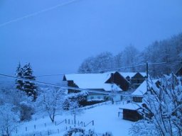 normal_IMG_6292