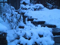 normal_IMG_6295