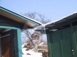 normal_IMG_6337