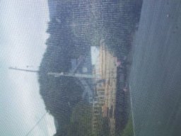 normal_IMG_6853
