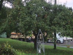 normal_IMG_6855
