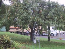 normal_IMG_6856