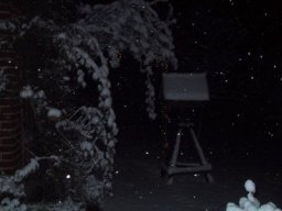 normal_IMG_6973