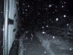 normal_IMG_6977