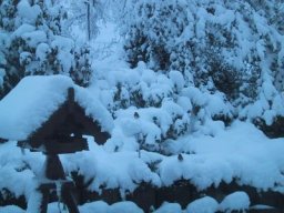 normal_IMG_6980