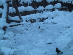 normal_IMG_6981
