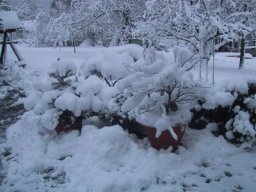 normal_IMG_6983