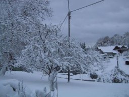 normal_IMG_6984