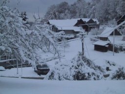 normal_IMG_6986