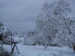normal_IMG_6987