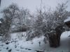 thumb_IMG_5443