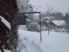 thumb_IMG_5445