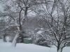 thumb_IMG_5446