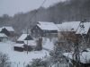 thumb_IMG_5449