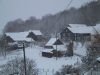 thumb_IMG_5450