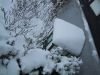 thumb_IMG_5451