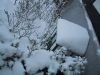 thumb_IMG_5452