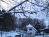 thumb_IMG_5466