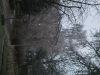 thumb_IMG_6014