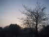 thumb_IMG_6048