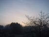 thumb_IMG_6050