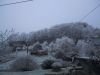 thumb_IMG_6077