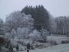 thumb_IMG_6096