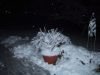thumb_IMG_6274