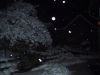 thumb_IMG_6282