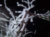 thumb_IMG_6286