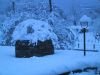 thumb_IMG_6291