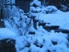 thumb_IMG_6294