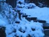 thumb_IMG_6295