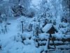 thumb_IMG_6982