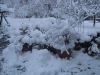 thumb_IMG_6983
