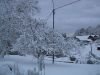 thumb_IMG_6984