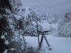 thumb_IMG_6985