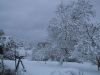 thumb_IMG_6987